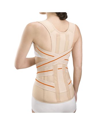 Orliman Dorsolumbale Riem