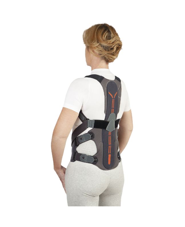 Orliman Dorsolumbale Brace Dorsotech