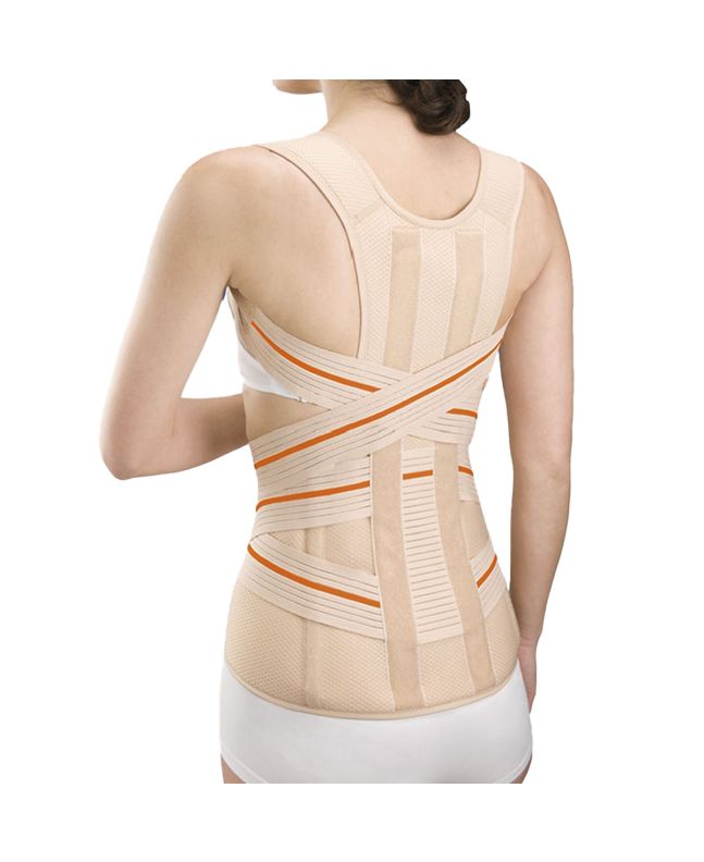 Orliman Dorsolumbale Riem